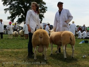 We'll be visiting some fabulous agricultural events - where there is an abundance of opportunities to meet and talk with local farmers.